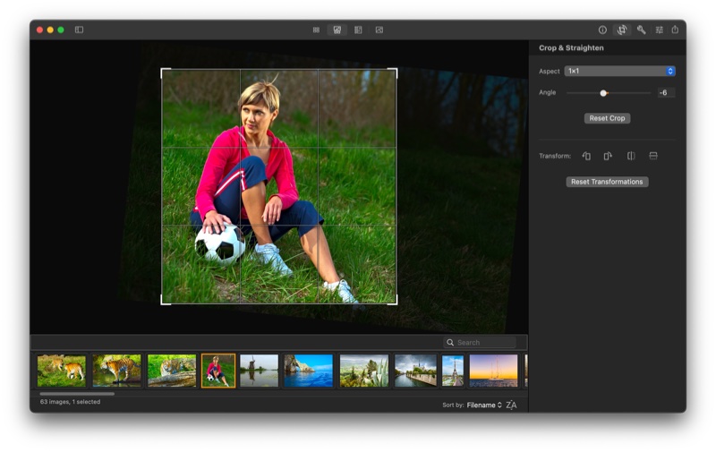 iBatch on Mac: cropping and straightening an image