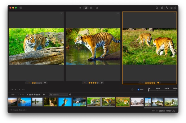Photo Sense on Mac: culling photos by comparing them side-by-side with synchronized zoom and position