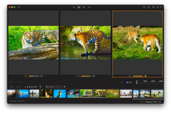 Photo Sense screenshot - Culling