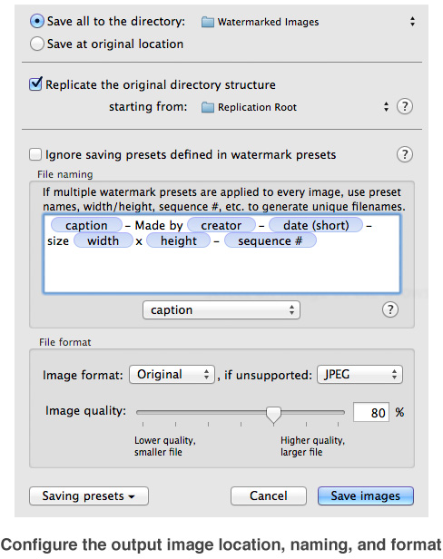 Watermark Sense - Output options